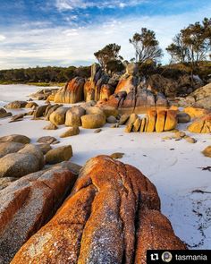 the rocks are covered with snow and trees in the background, along with some blue sky