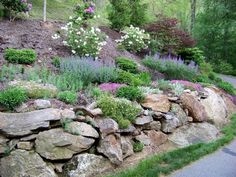 a stone wall with flowers growing on it next to a paved road in the woods