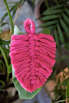 a pink flower with green leaves in the background