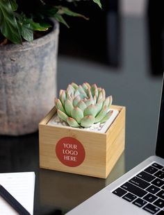 a laptop computer sitting on top of a desk next to a small box with a succulent in it