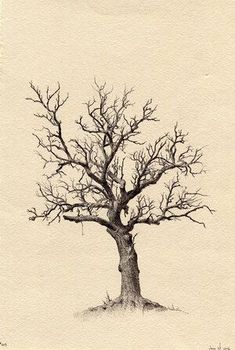 a drawing of a tree with no leaves