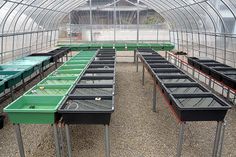 rows of green trays in a greenhouse with gravel flooring and glass walls on both sides