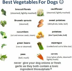 the best vegetables for dogs are in this chart, which includes broccoli, cauliflower, and beans