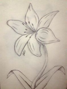 a pencil drawing of a flower on paper