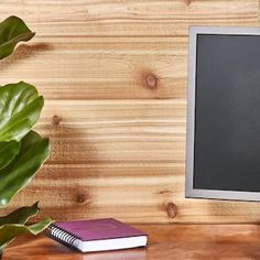 a computer monitor sitting on top of a wooden desk next to a potted plant