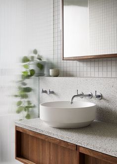 a bathroom sink sitting on top of a counter next to a mirror and potted plant