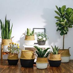 there are many plants in baskets on the table