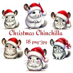 christmas chinillia clipart set with santa hat and other cute animals in different poses