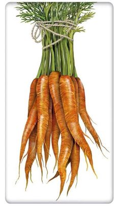 a bunch of carrots with green tops and stems hanging from the top, on a white background