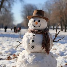 a snowman with a hat and scarf on in the middle of a snowy field