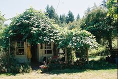 an old house covered in vines and flowers