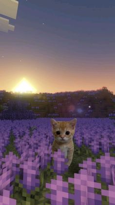 an orange cat sitting in the middle of a field with purple squares on it's face