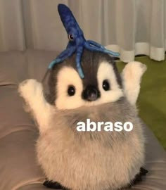 a stuffed animal with an octopus on top of it's head and the caption abraso