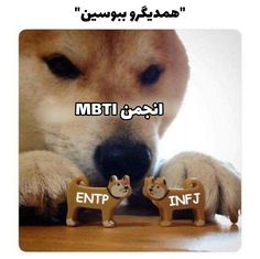 Infj Entp, Infj Humor, Mbti Type, Mbti Types, Mbti Relationships, Mbti Character, Girl Drawings, Attack On Titan Levi, Sketchbook Art