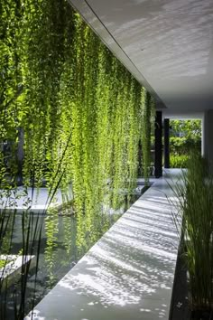 the instagram page on instagram shows an image of a walkway and water feature