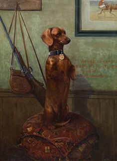 Wikimedia Commons, Dachshund, Art