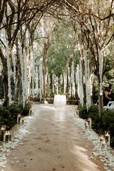 the aisle is lined with white flowers and candles for an outdoor wedding ceremony in florida