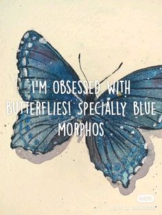 a blue butterfly with the words i'm obsesed with butterflies specially blue morphos