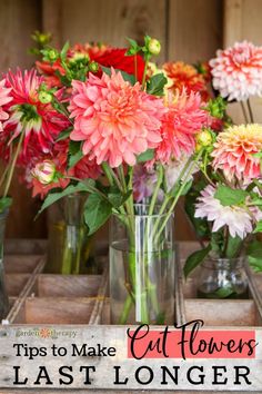 flowers in vases sitting on a table with text overlay that reads tips to make cut flowers last longer