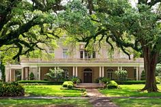 a large house with lots of trees and bushes around it's front entrance, surrounded by lush green grass