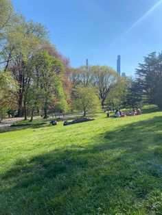 people relaxing in the park on a sunny day