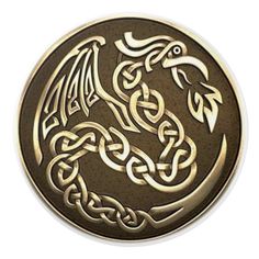 a metal medallion with an image of a dragon on it