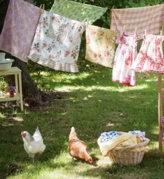 several laundry hanging on clothes lines outside in the grass next to chickens and chickenlings