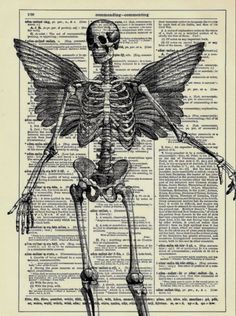 an old book page with a skeleton and wings