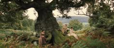 three people sitting under a large tree in the woods