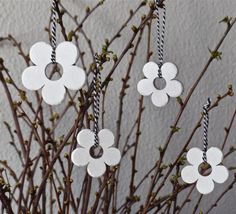 three white flowers are hanging from branches with black and white striped twine on them