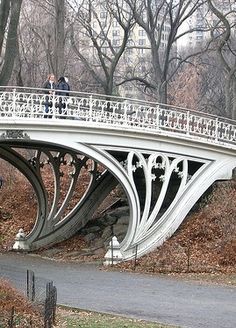 two people are standing on a bridge in the park