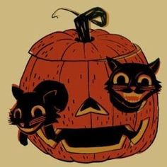 two cats and a cat pumpkin with faces drawn on the front, one is black