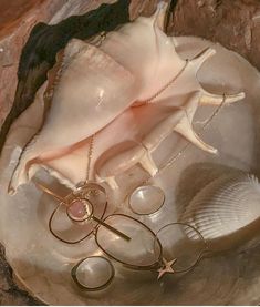 an assortment of jewelry sitting on top of a piece of driftwood next to a seashell