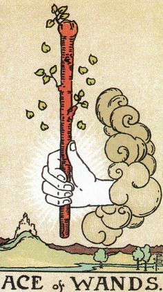 the ace of wands tarot card with an image of a hand holding a stick