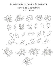 an image of flowers and leaves drawn by hand in line with the title, magnolia flower elements branches & bouquets at its end svg