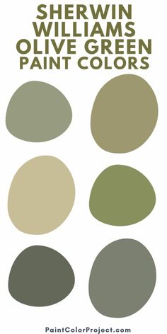 the best sage green paint colors