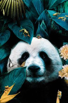 a panda bear surrounded by green leaves and flowers with a butterfly on it's nose