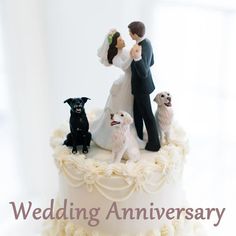 a bride and groom are standing on top of a wedding cake with dogs around them