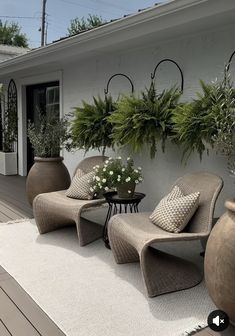 two chairs sitting on top of a white rug next to potted plants in front of a house