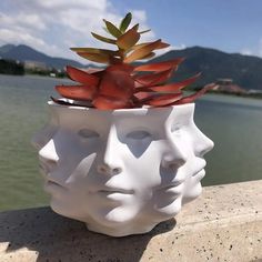 three heads with plants growing out of them on the edge of a wall near water