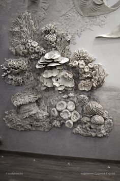 this is an image of corals and seaweed on the wall