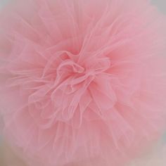 a close up of a pink fluffy ball