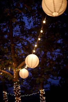 some white paper lanterns hanging from a tree