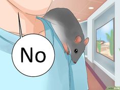 a woman holding a mouse in her hand with the word no on it's side