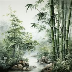 an image of a painting of bamboo trees and water in the jungle with rocks on the bank