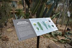 a sign in the middle of a garden with plants and rocks around it that says amazing gladiatations