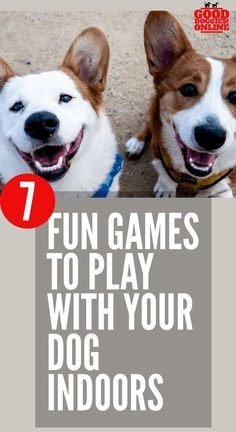 two dogs sitting next to each other with the text 7 fun games to play with your dog indoors