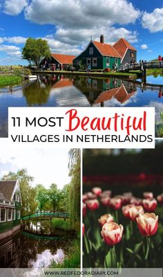 the beautiful village in netherlands is surrounded by flowers and green houses, with text overlay that reads 11 most beautiful cottages in netherlands