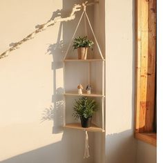 three wooden shelves with plants on them against a wall