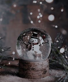 a snow globe sitting on top of a wooden stand next to christmas trees and lights